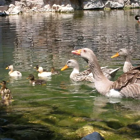 Pensionat Adrasan River 3*